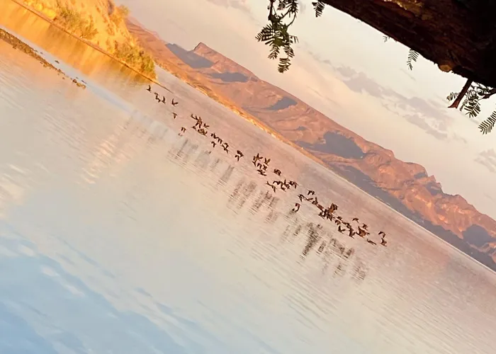 Island 2* Lake Havasu City
